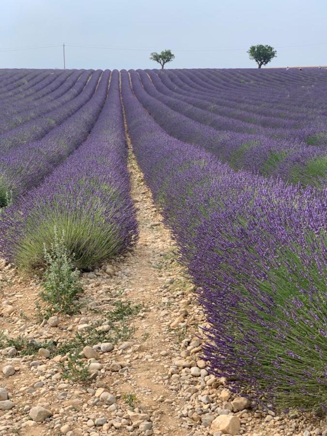 Studio Nuitee En Provence 2 Егіль Екстер'єр фото